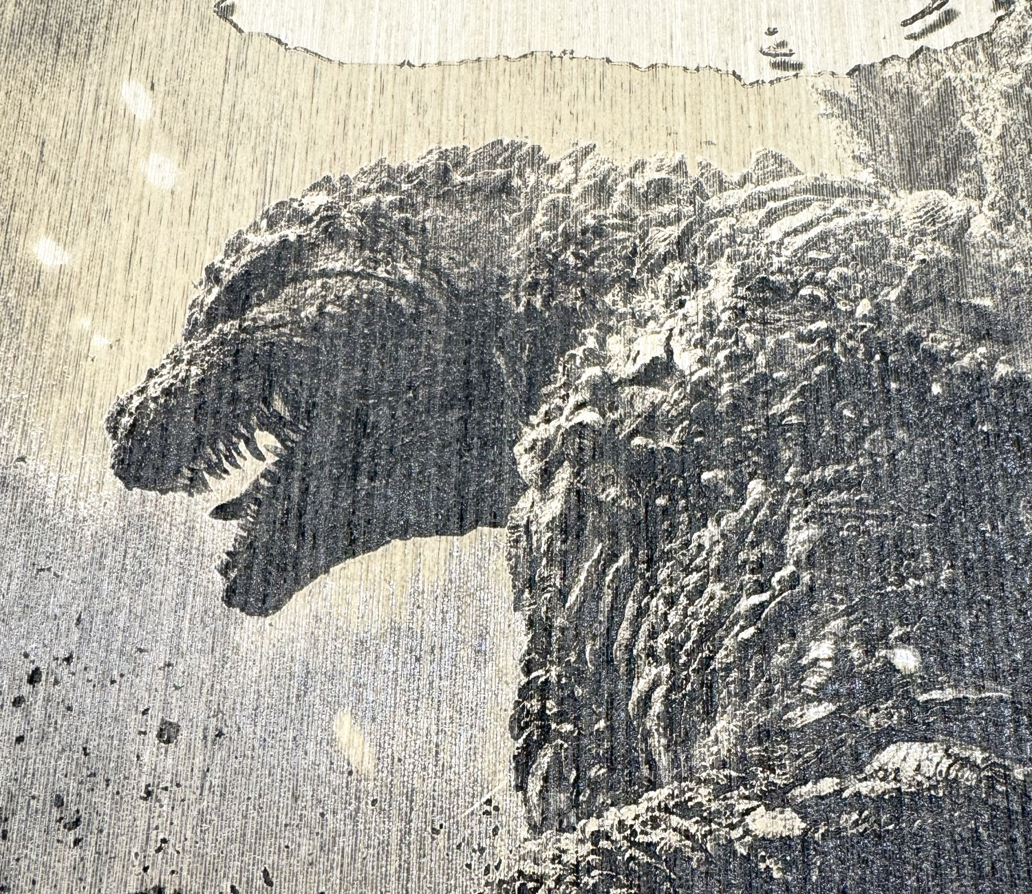 『ゴジラ-1.0』Type-C