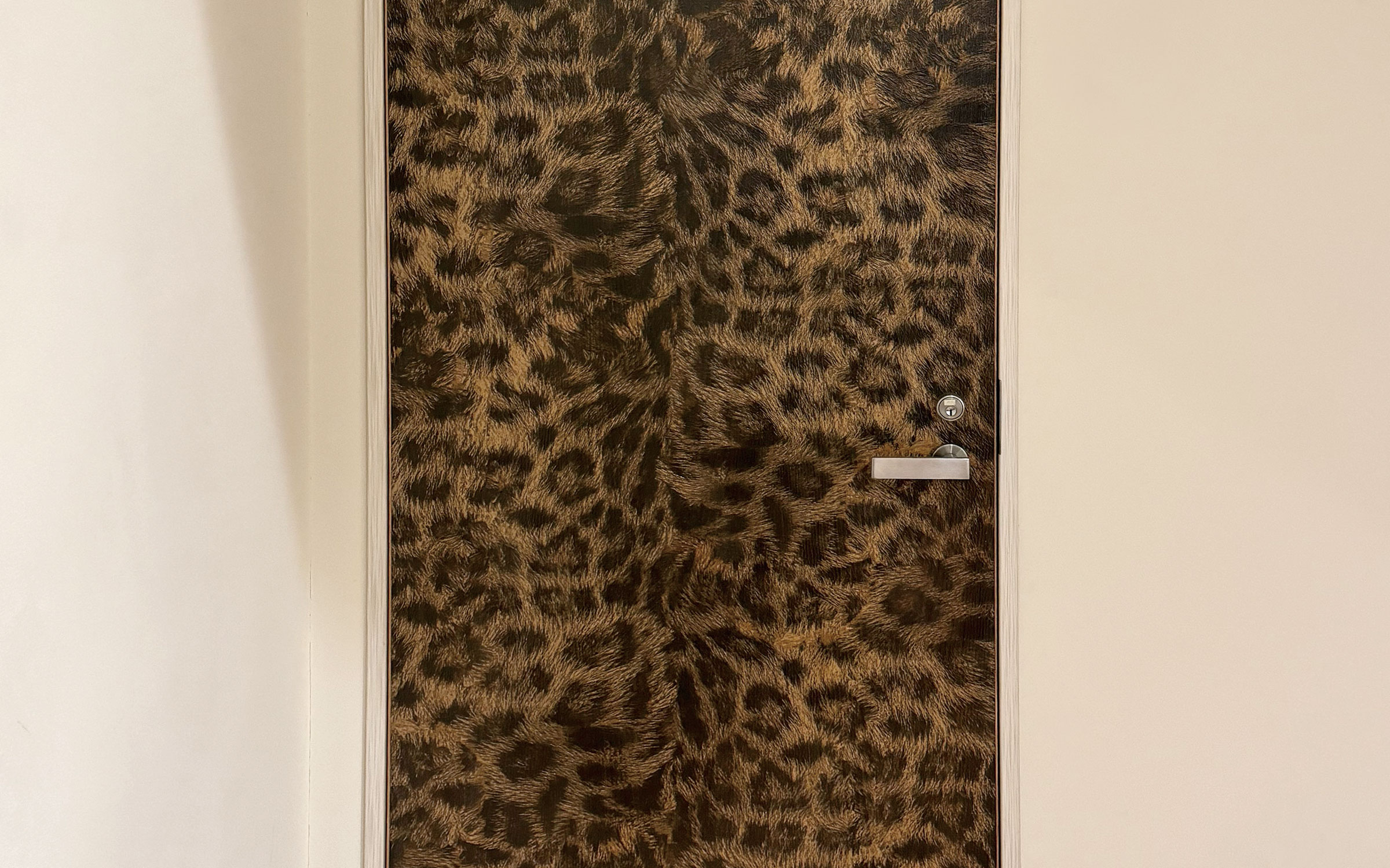 レーザート　ドア