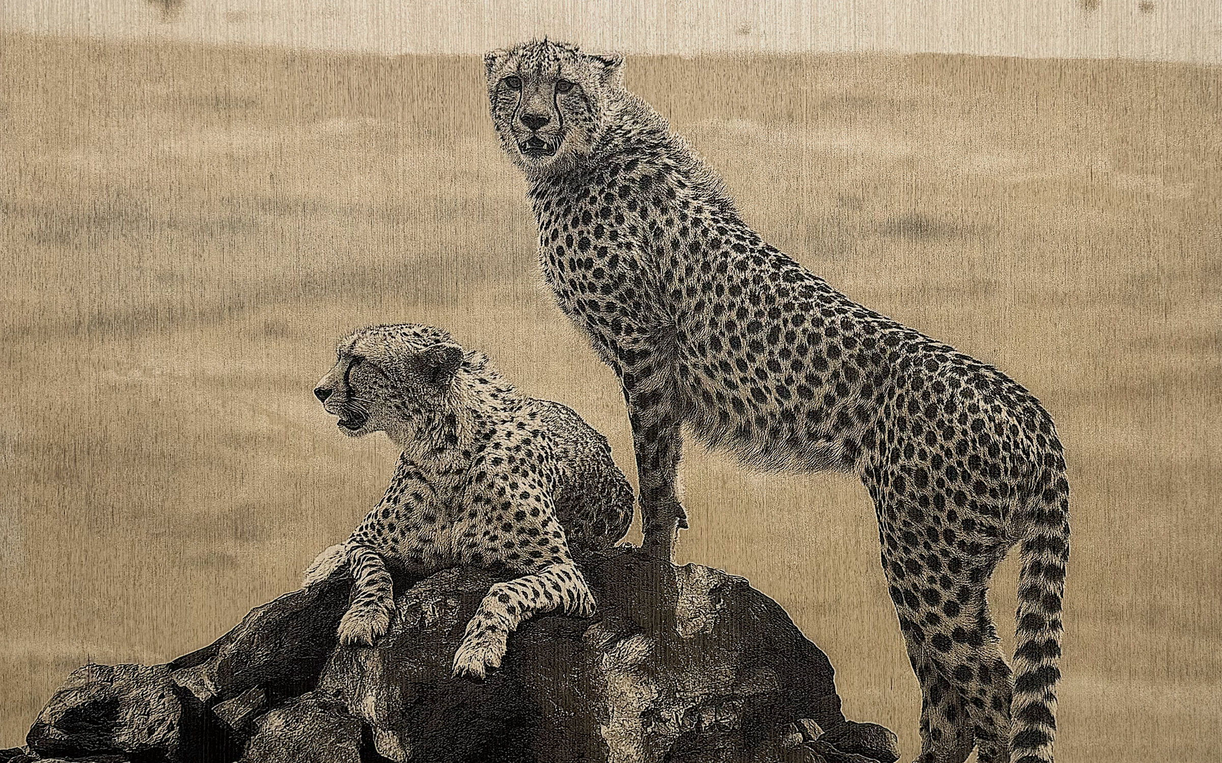 レーザート　アートパネル